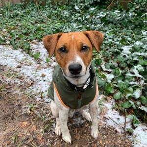 Meet your Posher, Caroline